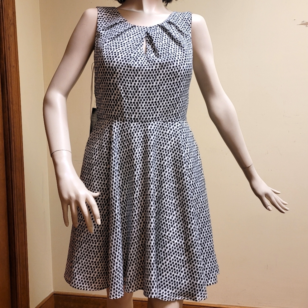Express Black and White Skater Dress